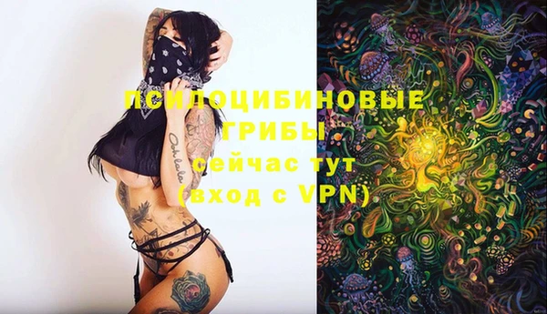 мяу мяу мука Покачи