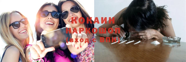 тгк Богородицк