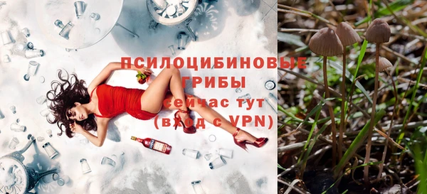 тгк Богородицк